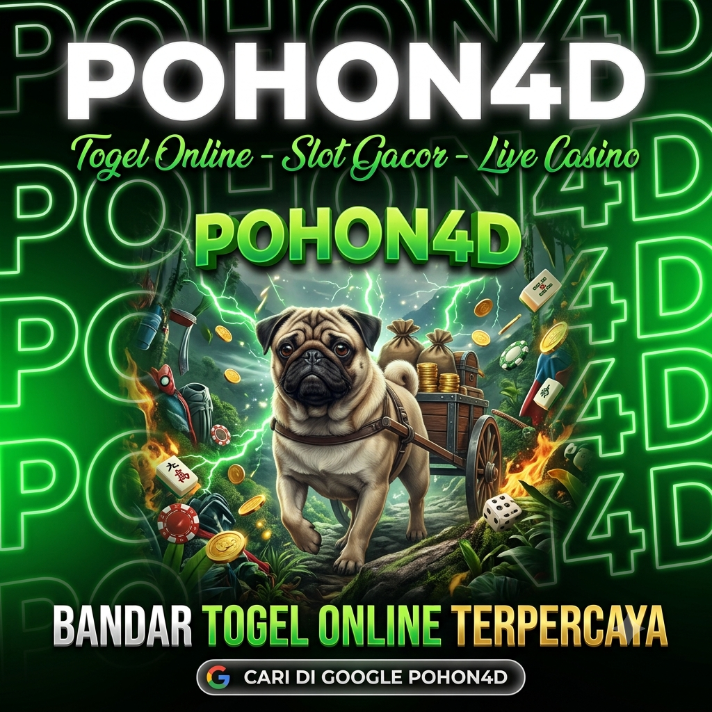 POHON4D